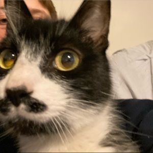 Meet your Posher, Kayley